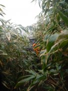 image 1970517_652292104808797_134848841_n-jpg